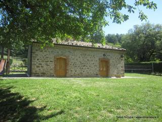fugio Trearie-11-06-2016 11-45-30